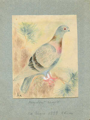 Коган Нина Иосифовна. Почтовый голубь